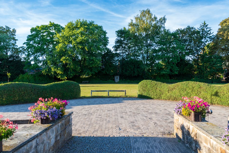 A wide view of a park with a paved pathway leading towards a grassy area and large, leafy green trees under a clear blue sky. On either side of the pathway, there are stone planters filled with vibran